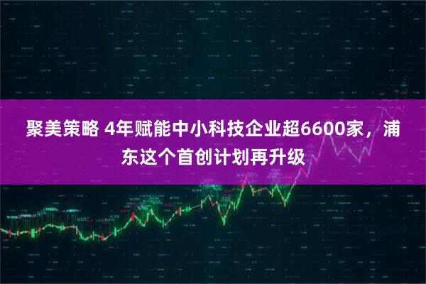 聚美策略 4年赋能中小科技企业超6600家,浦东这个首创计划再升级