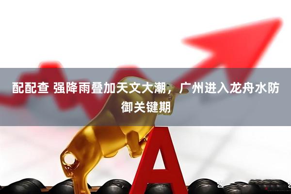 配配查 强降雨叠加天文大潮，广州进入龙舟水防御关键期