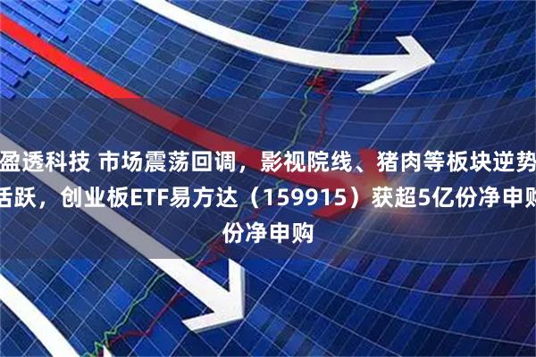 盈透科技 市场震荡回调，影视院线、猪肉等板块逆势活跃，创业板ETF易方达（159915）获超5亿份净申购